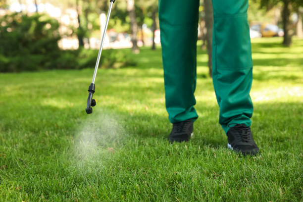 Best Wasp Removal Services  in Green Island, NY