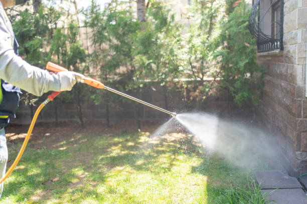 Best Flea Control Services  in Green Island, NY