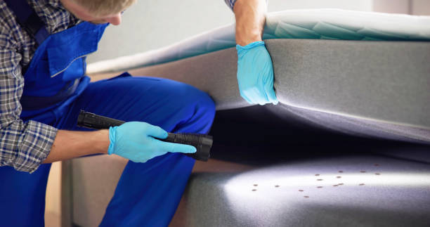 Best Cockroach Control Services  in Green Island, NY