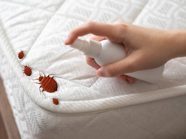 Best Pest Inspection Near Me  in Green Island, NY